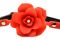Силиконовый кляп с розой Master Series: Blossom Silicone Rose Gag – Red