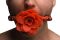 Силиконовый кляп с розой Master Series: Blossom Silicone Rose Gag – Red